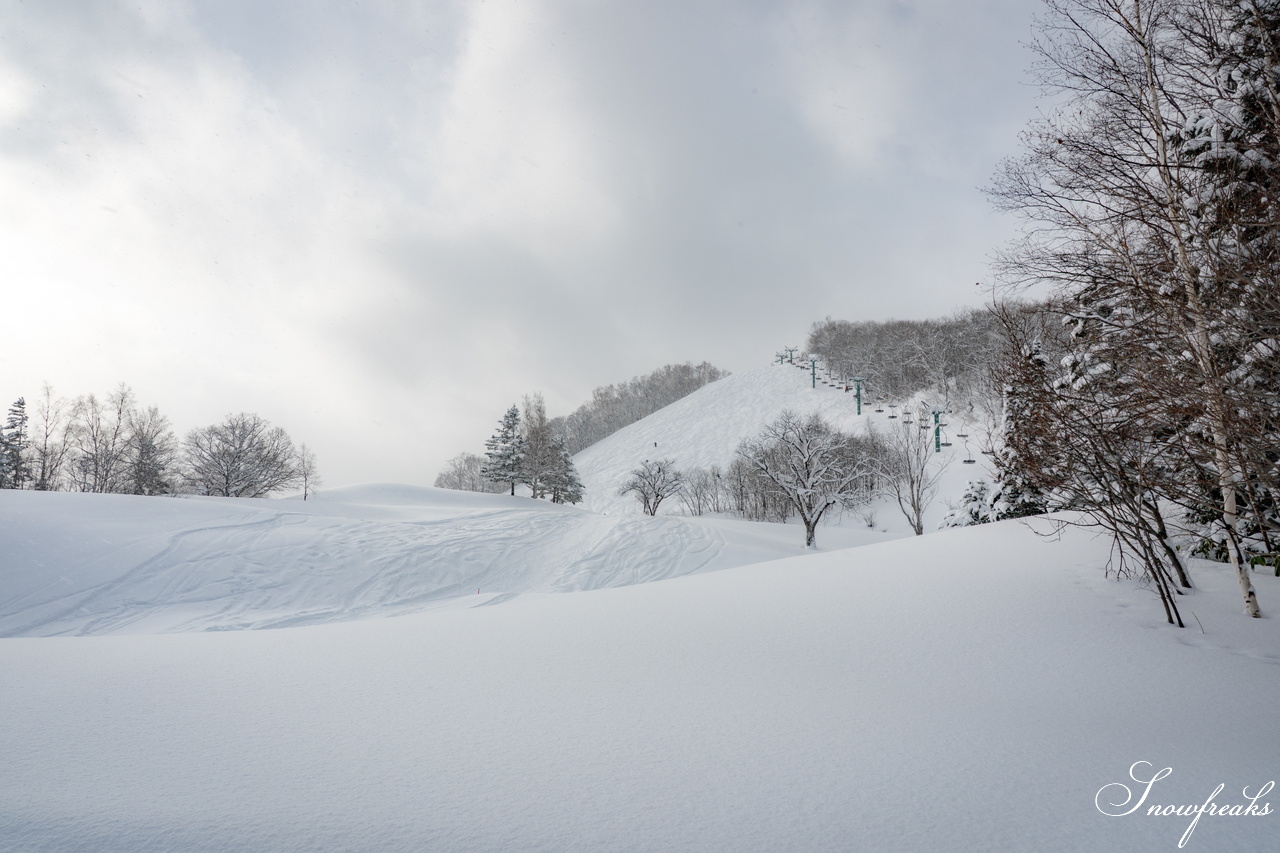 片岡嵩弥 - Takaya Kataoka - Powder Photo Session 2026 in ASARI
